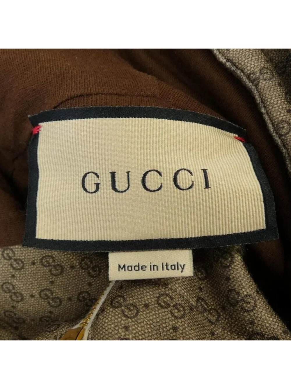 Gucci Hoodie Brown